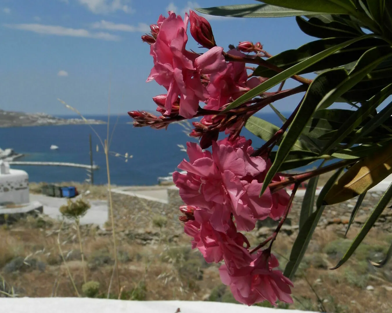 Maroulinas Boutique Apartments & Studios Mykonos Town
